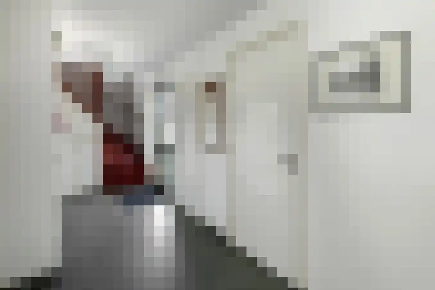 Elster Grindweg 3 a Driel thumbnail 25