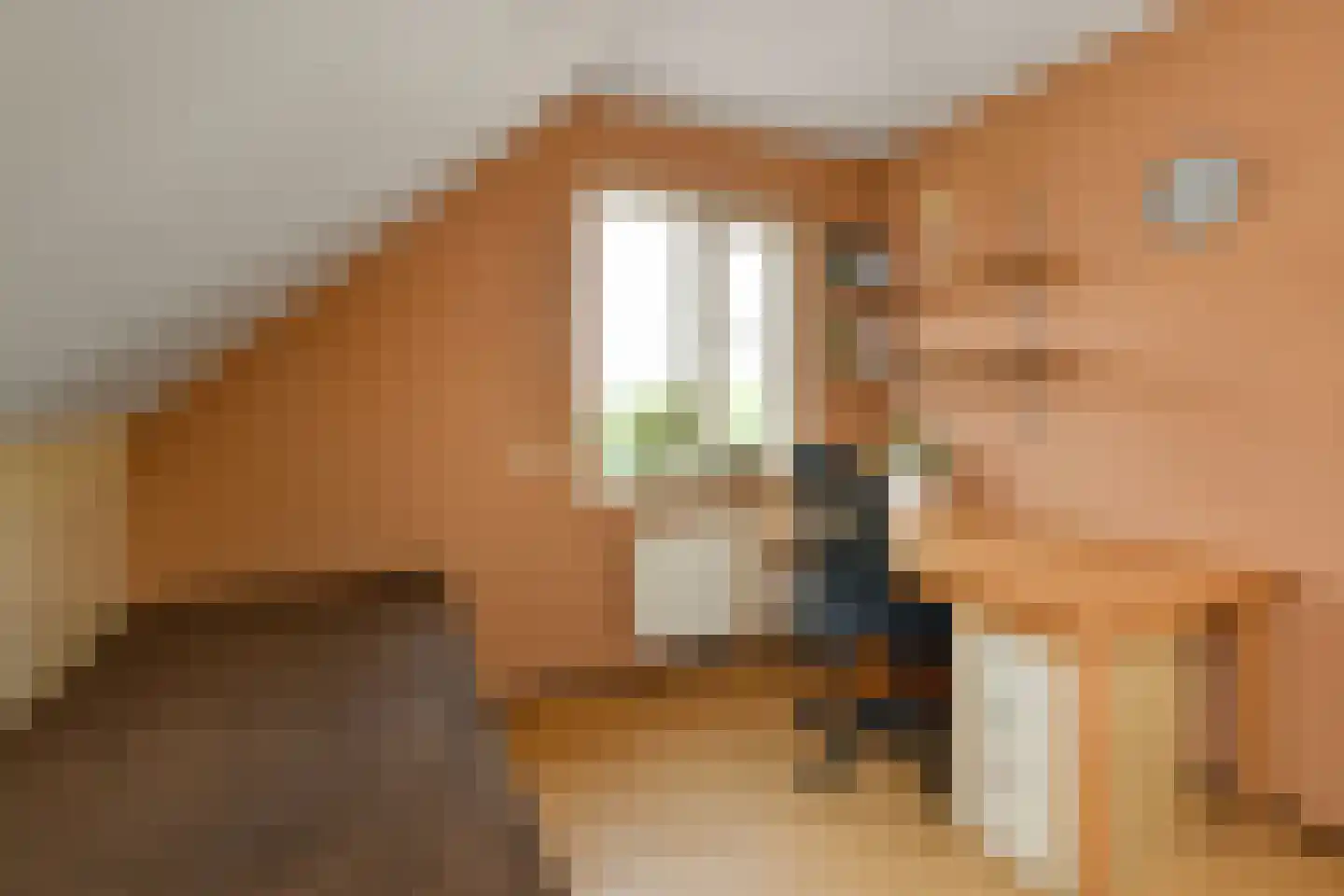 Elster Grindweg 3 a Driel thumbnail 29