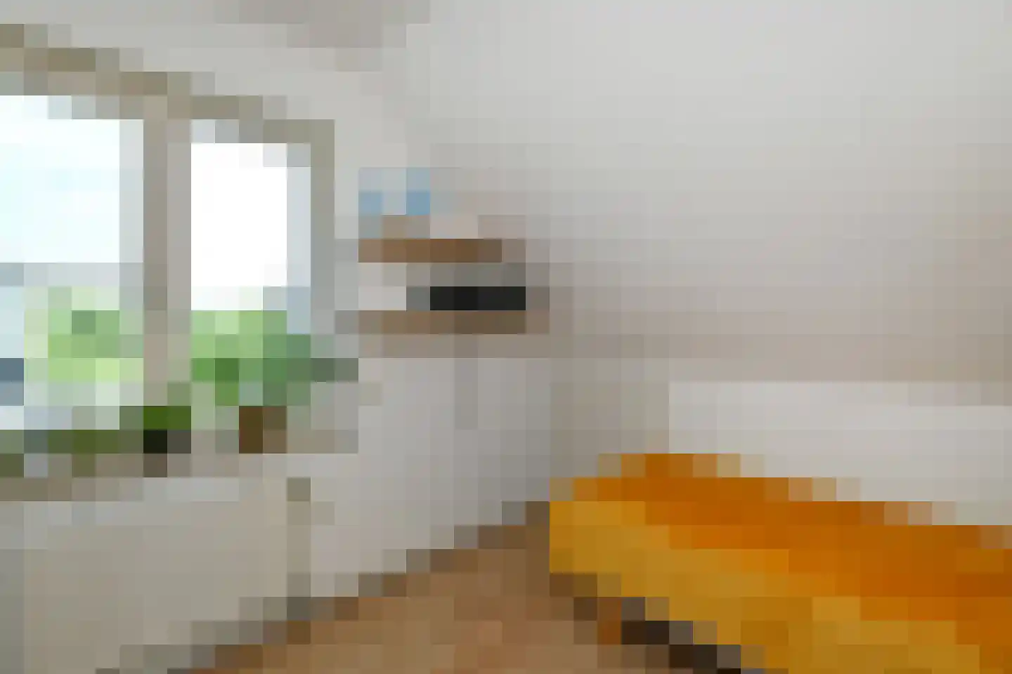 Elster Grindweg 3 a Driel thumbnail 30
