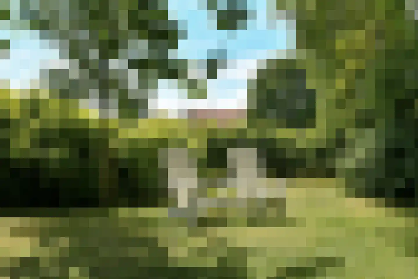 Elster Grindweg 3 a Driel thumbnail 36