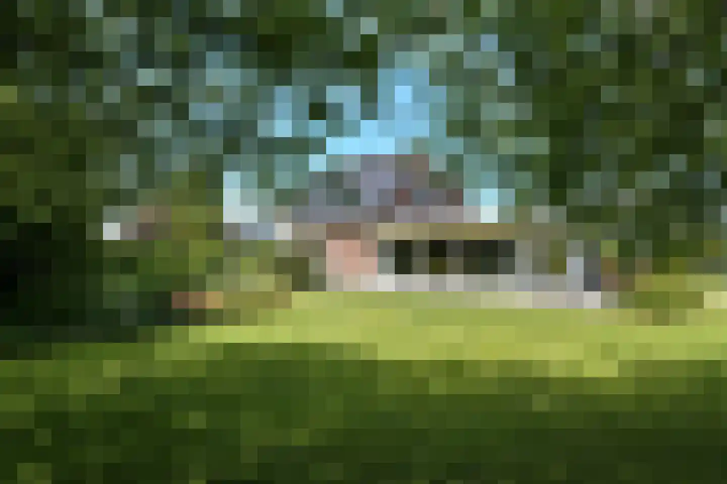 Elster Grindweg 3 a Driel thumbnail 4