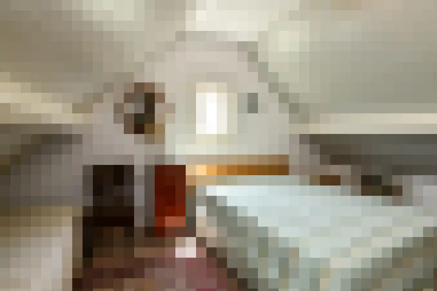 Elster Grindweg 3 a Driel thumbnail 50