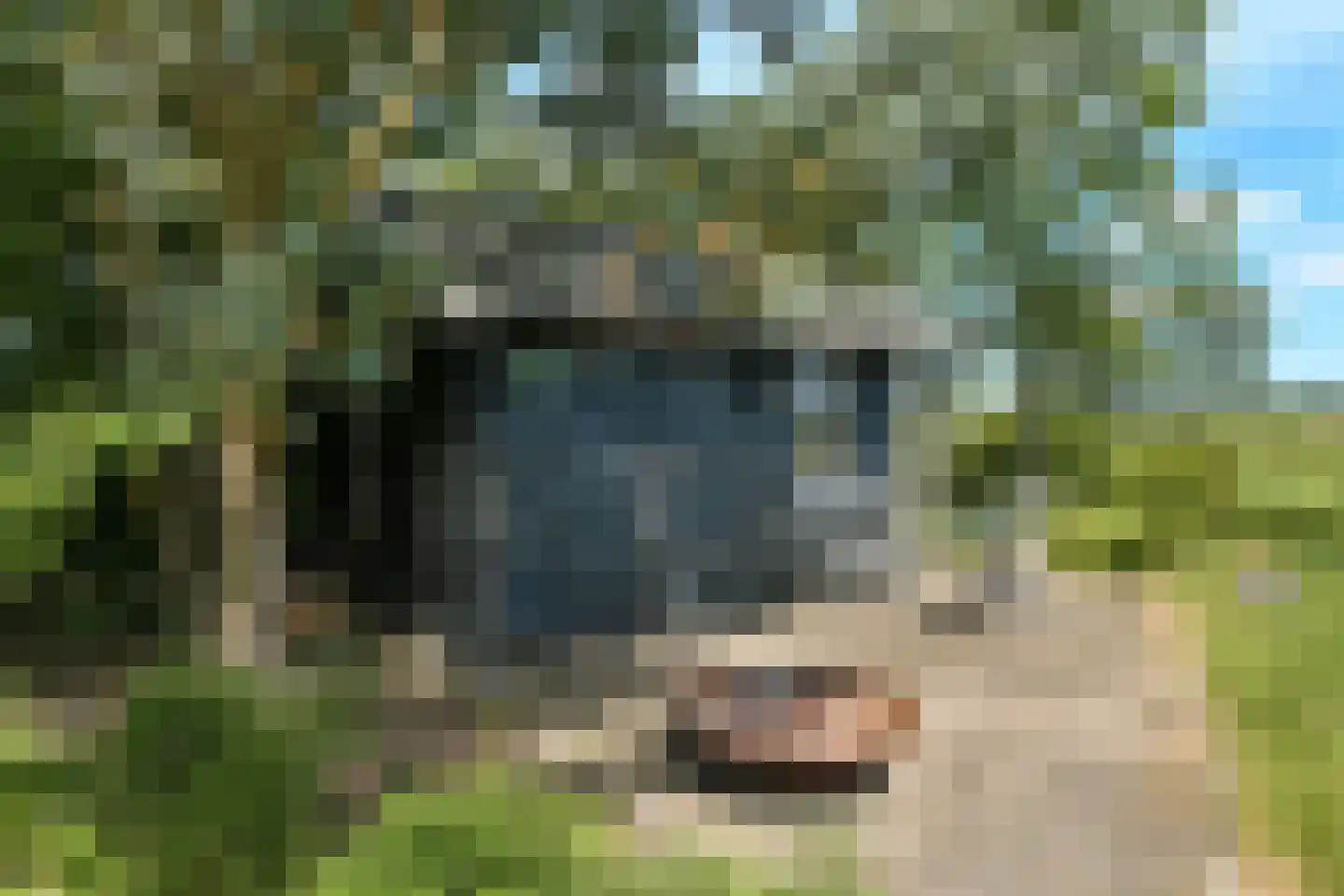 Elster Grindweg 3 a Driel thumbnail 51