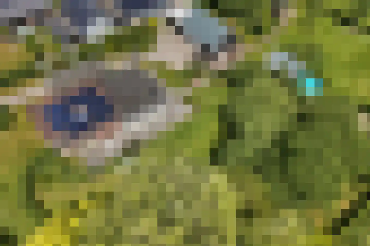 Elster Grindweg 3 a Driel thumbnail 54