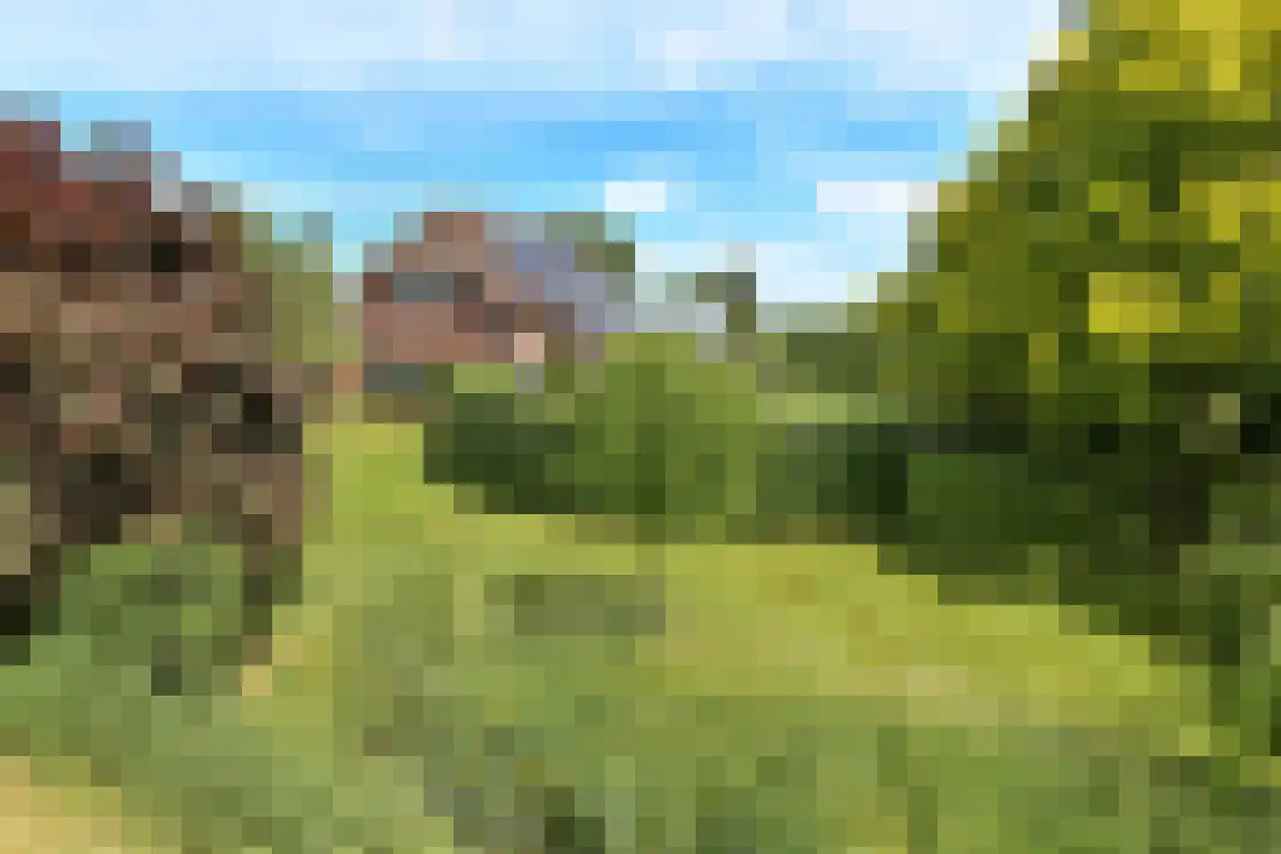 Elster Grindweg 3 a Driel thumbnail 62