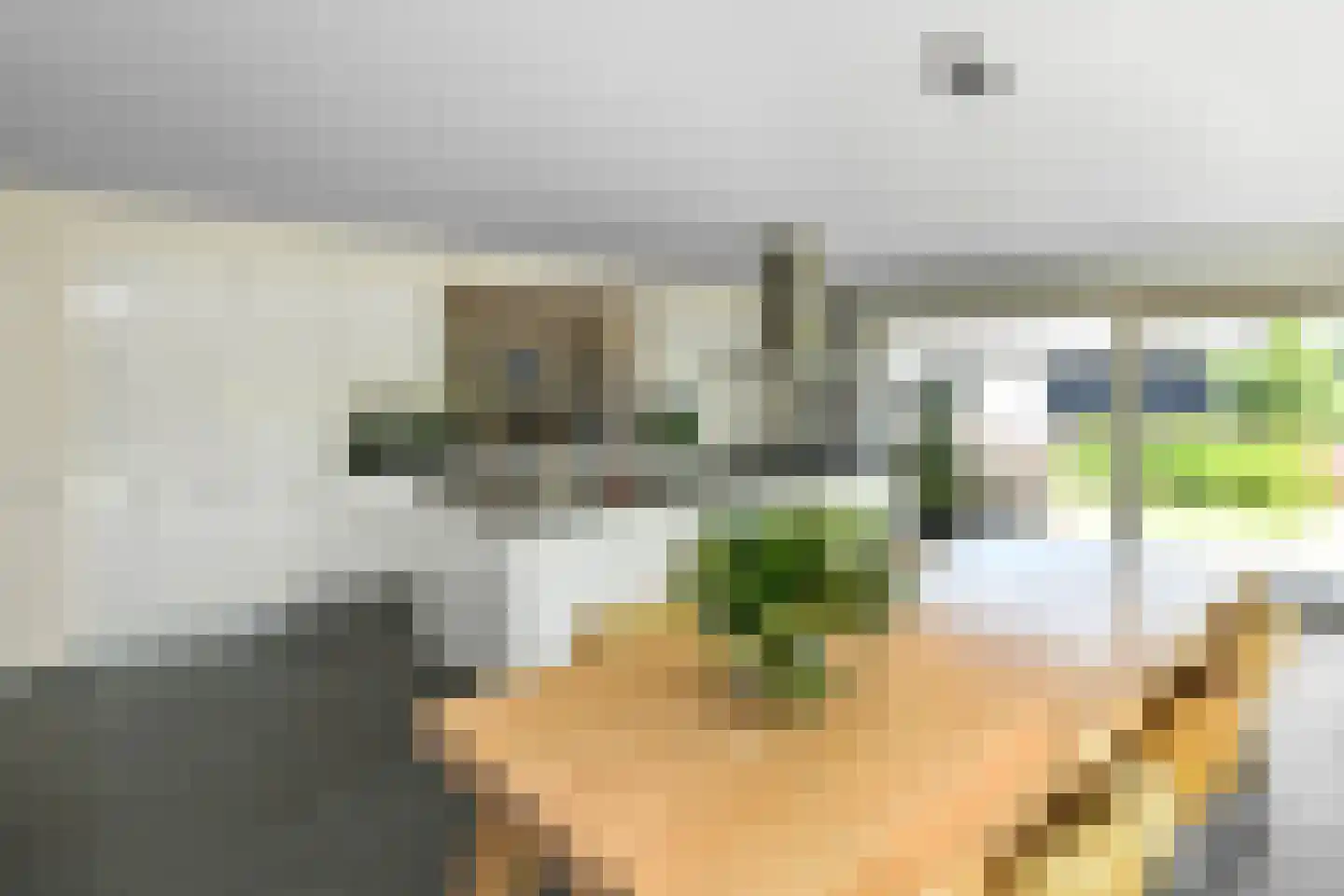 Elster Grindweg 3 a Driel thumbnail 8