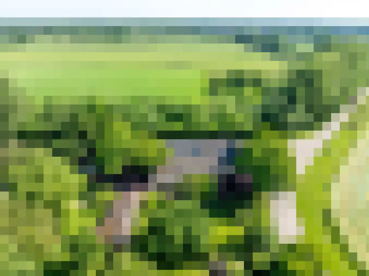 Elsteren 11 Well L thumbnail 100