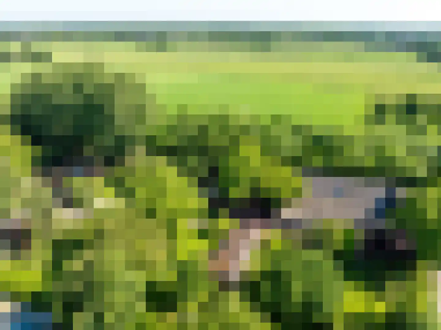 Elsteren 11 Well L thumbnail 101