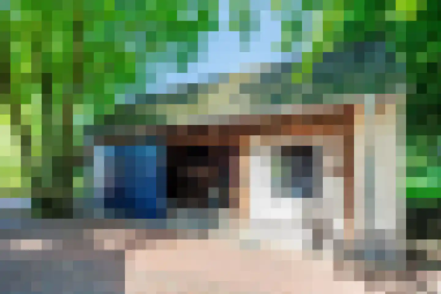 Elsteren 11 Well L thumbnail 108