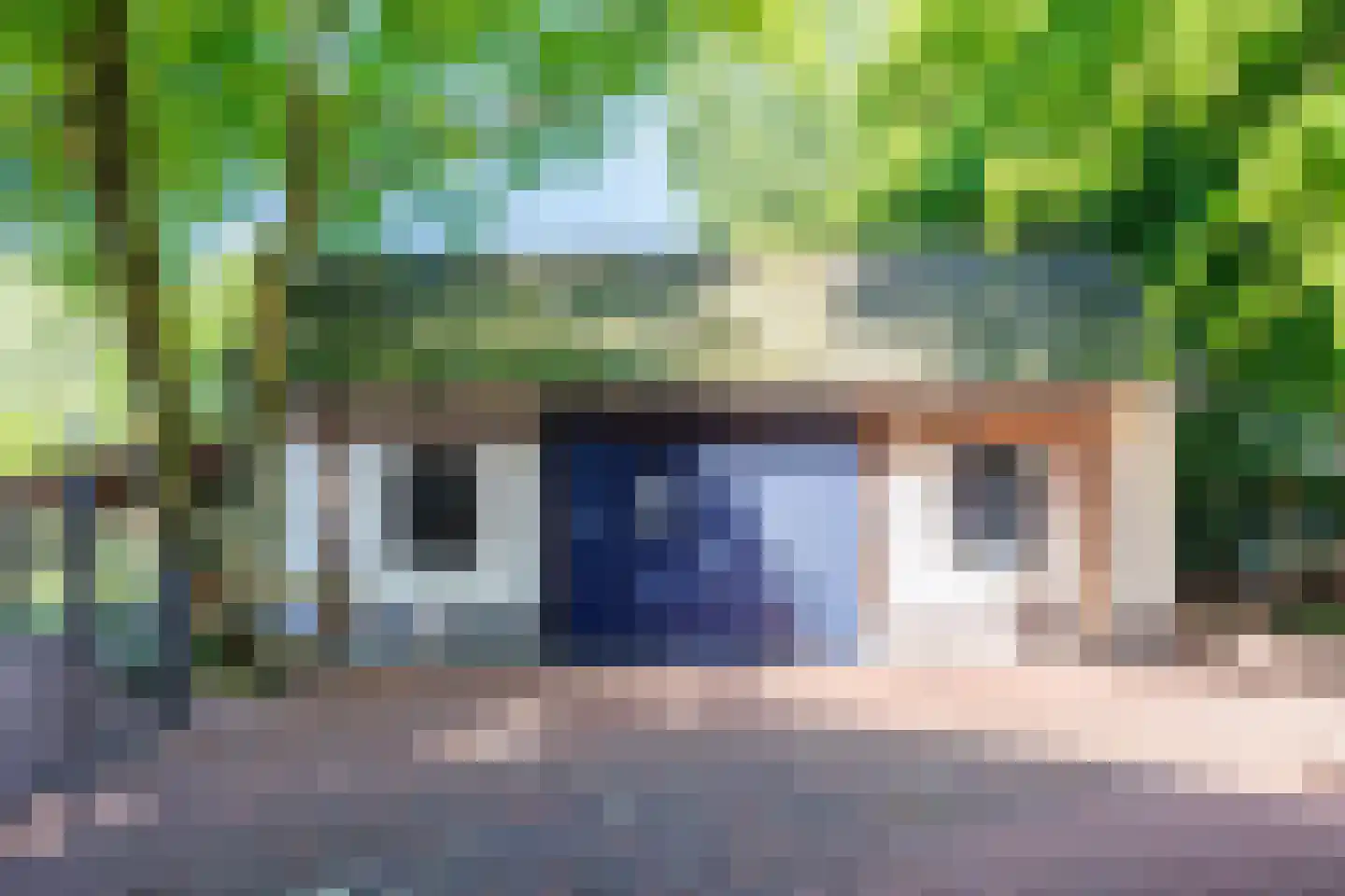 Elsteren 11 Well L thumbnail 109