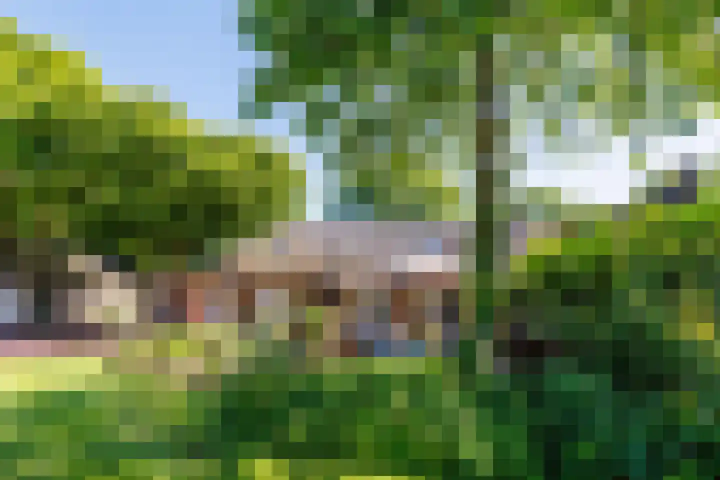 Elsteren 11 Well L thumbnail 115