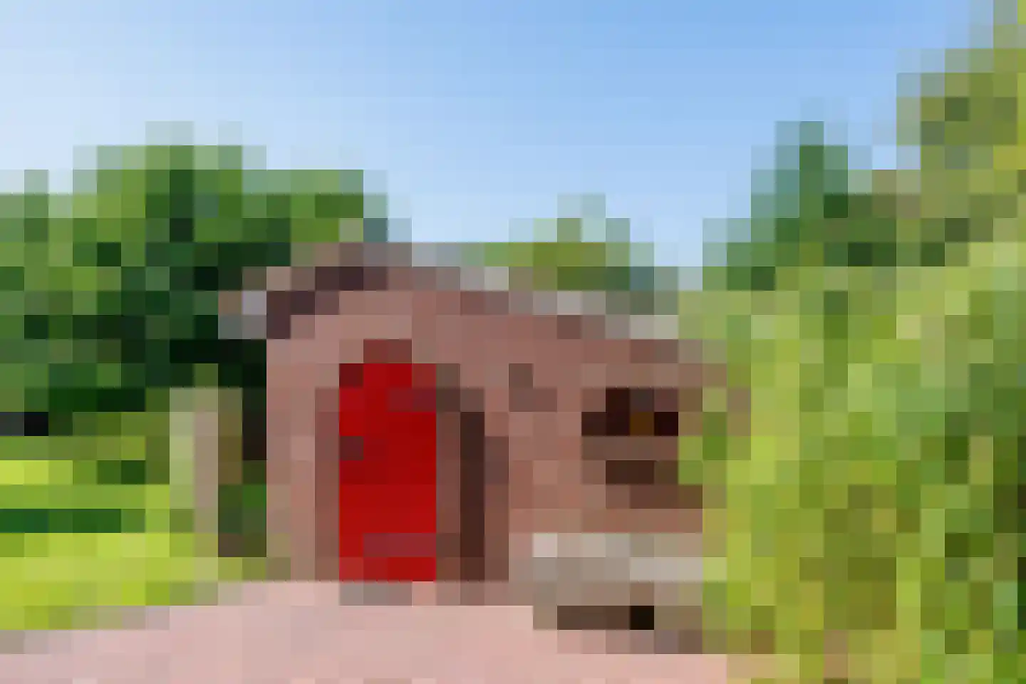 Elsteren 11 Well L thumbnail 119