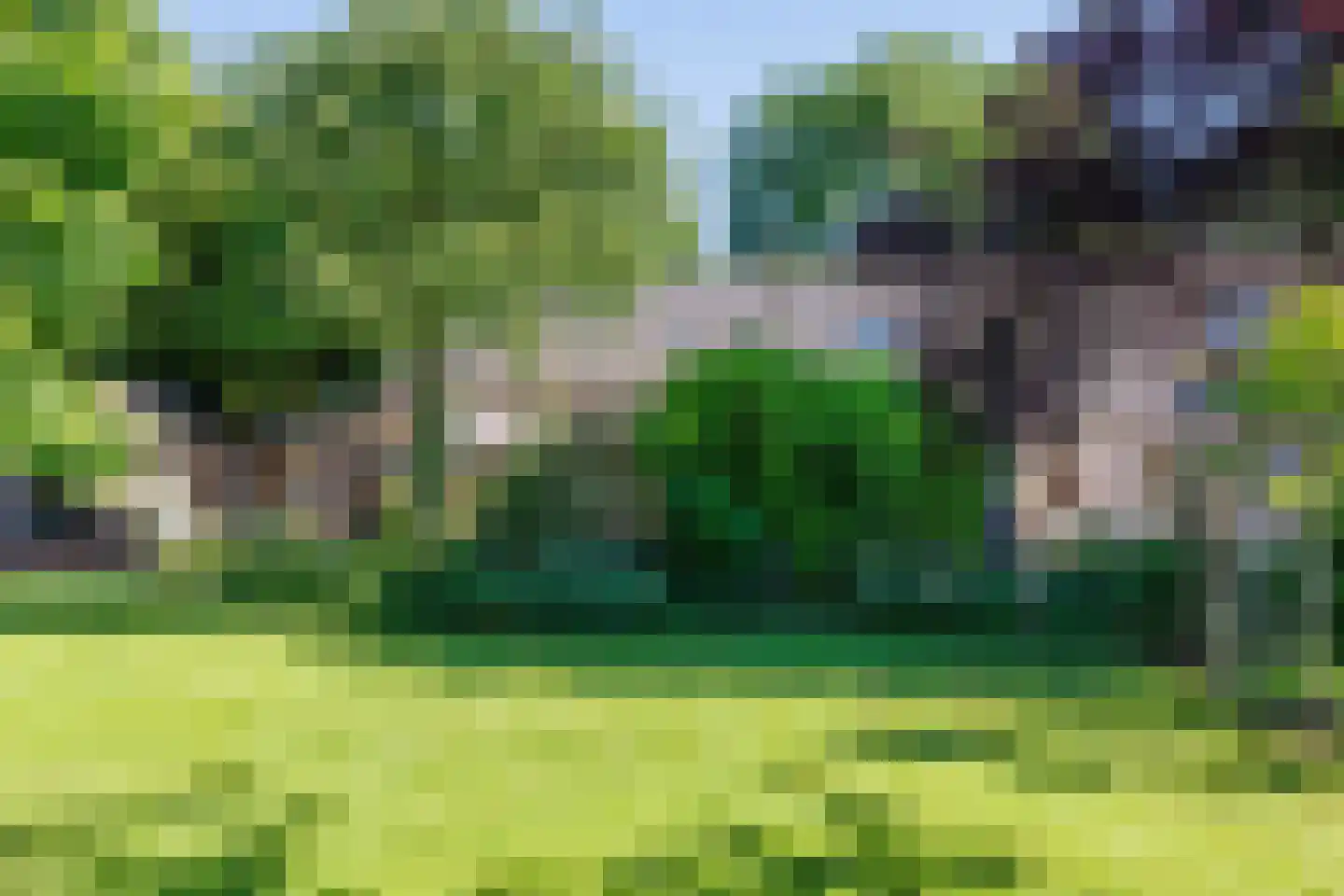 Elsteren 11 Well L thumbnail 120