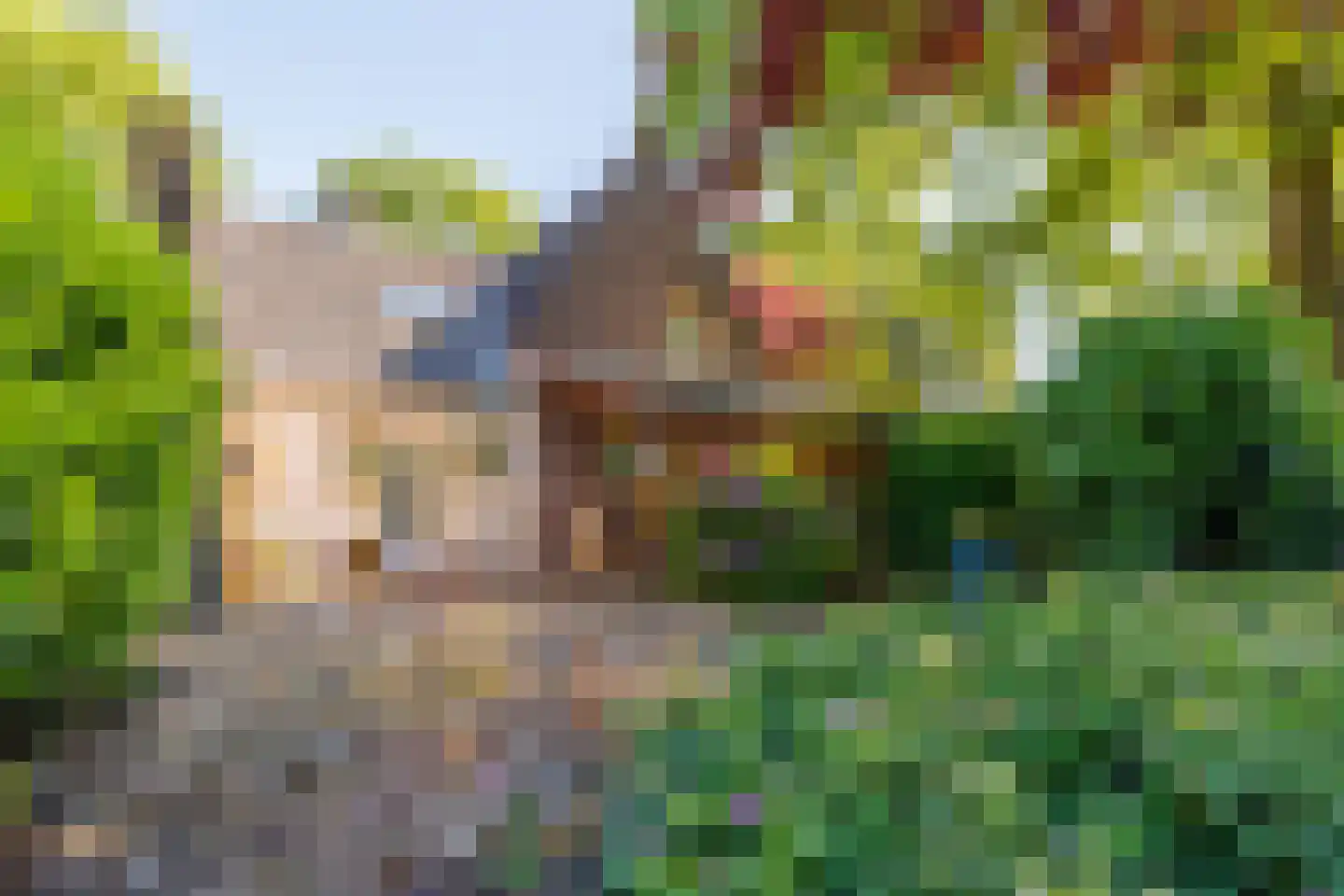 Elsteren 11 Well L thumbnail 120