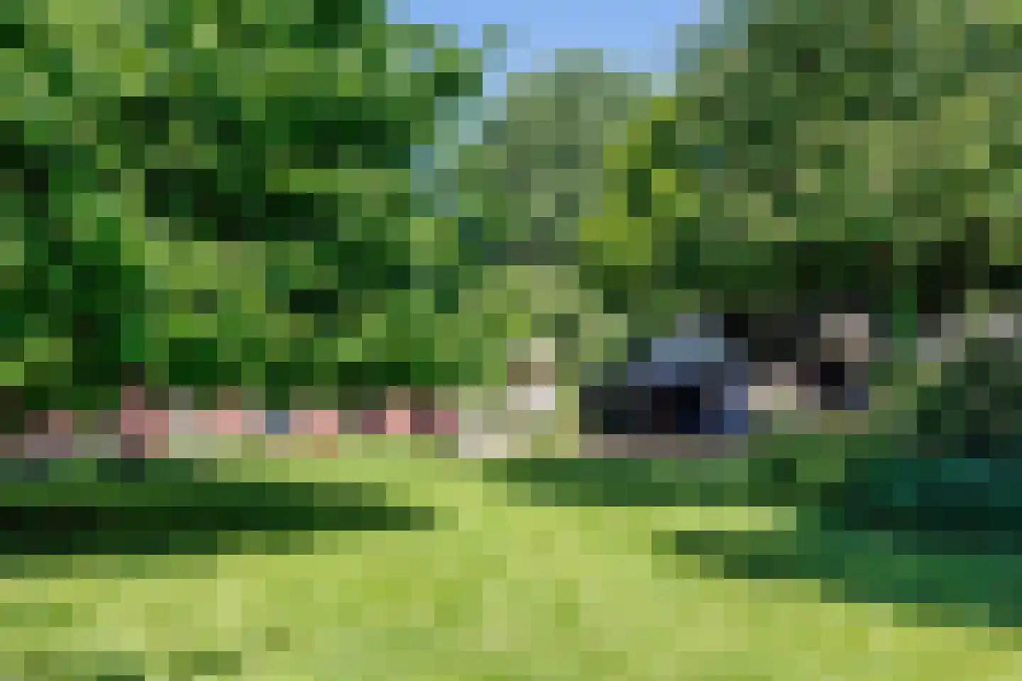 Elsteren 11 Well L thumbnail 121