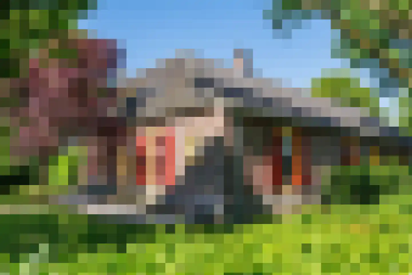 Elsteren 11 Well L thumbnail 122
