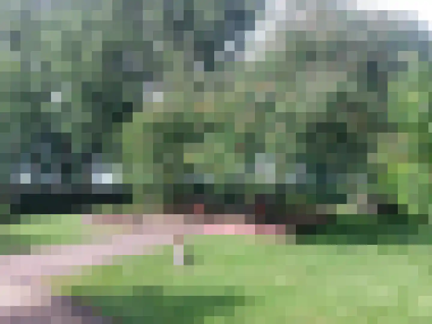 Elsteren 11 Well L thumbnail 125