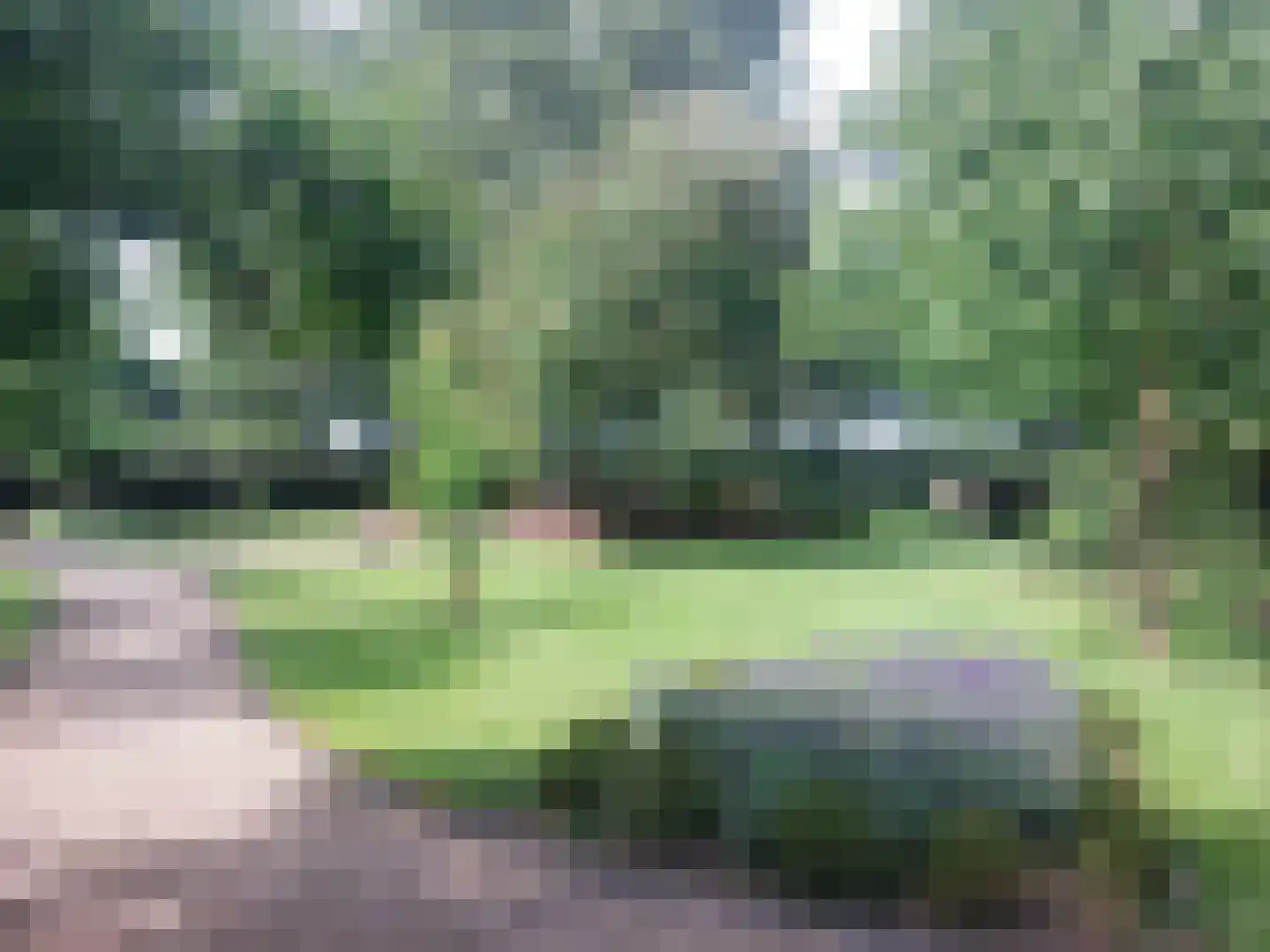 Elsteren 11 Well L thumbnail 126