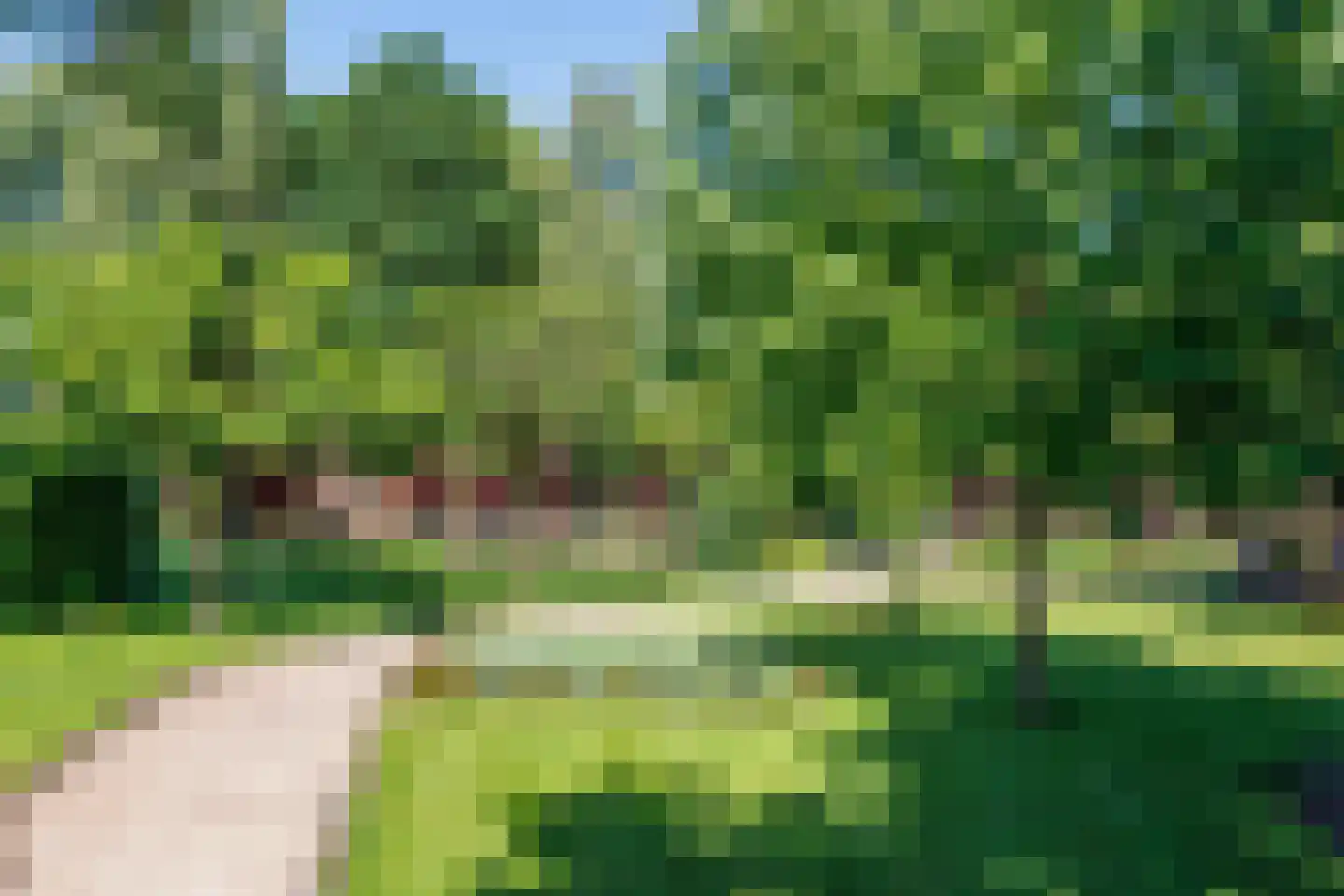 Elsteren 11 Well L thumbnail 127
