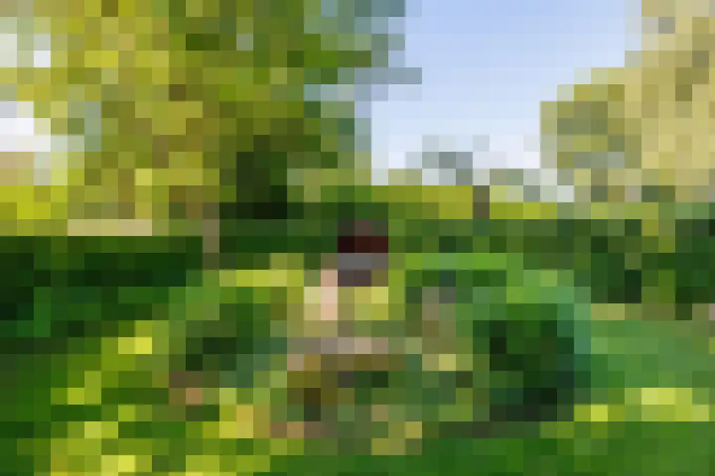 Elsteren 11 Well L thumbnail 128