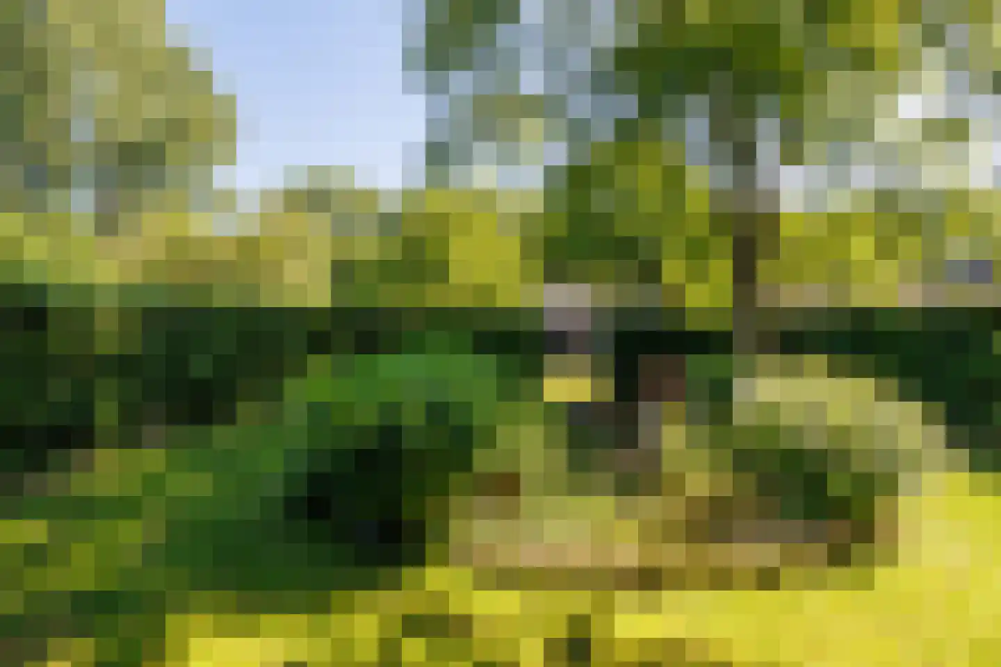 Elsteren 11 Well L thumbnail 129