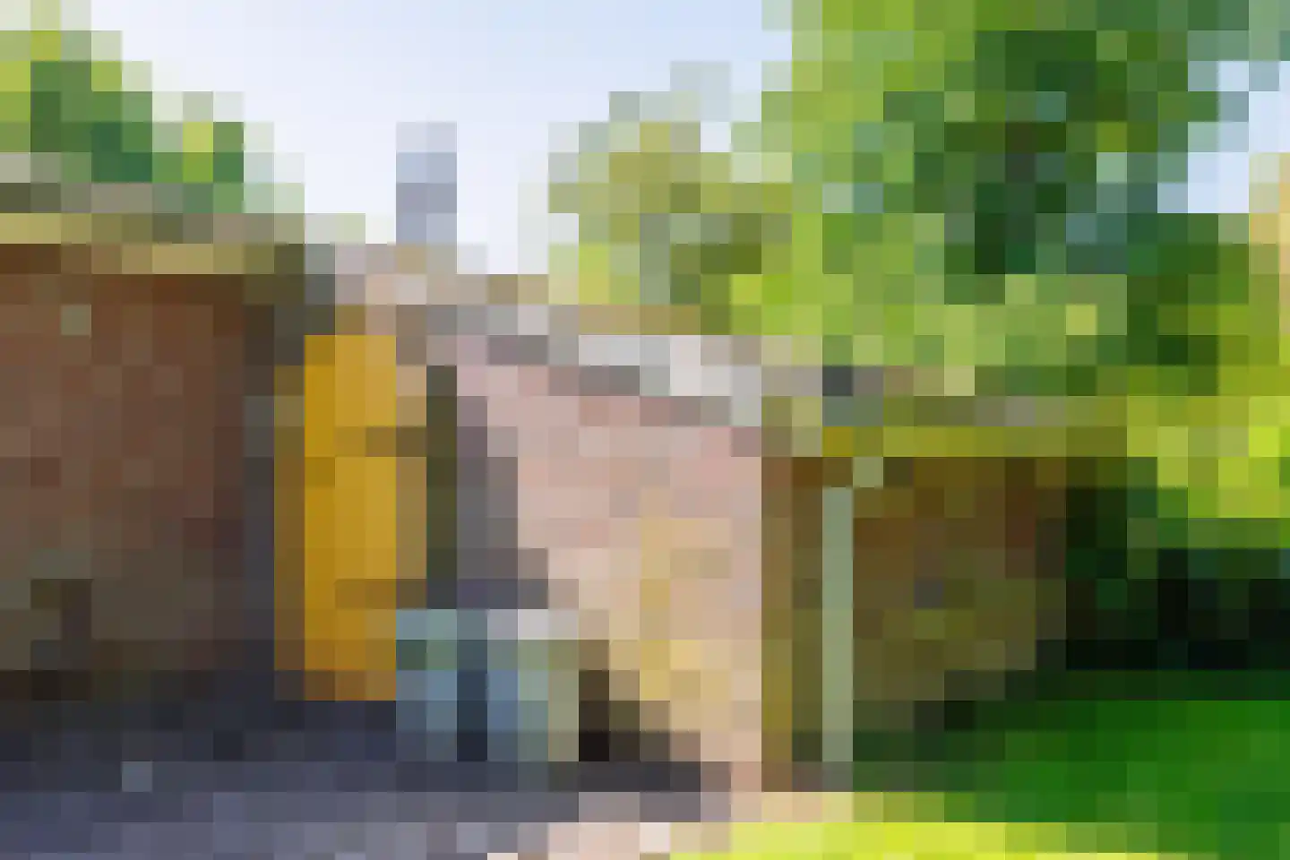 Elsteren 11 Well L thumbnail 130