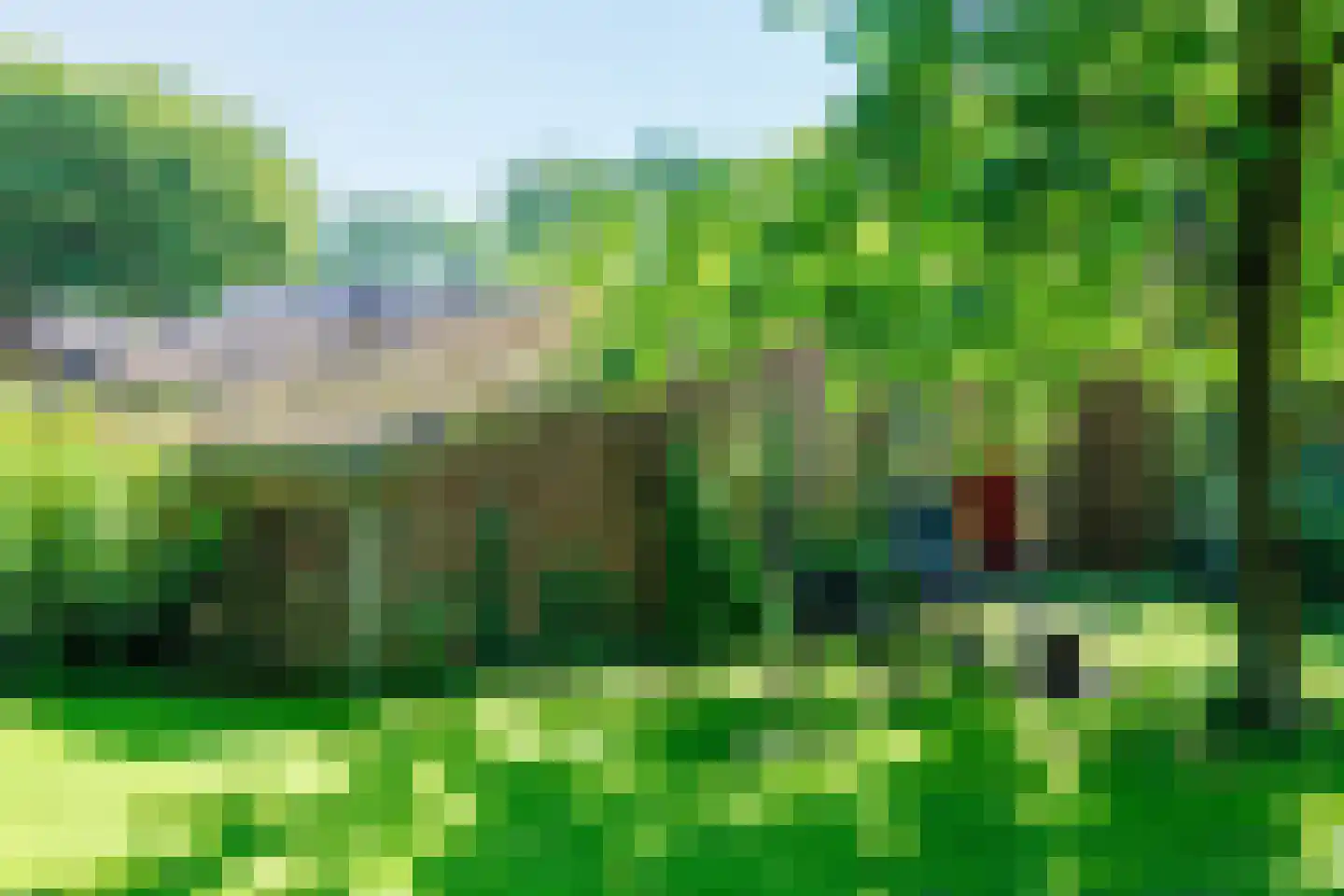 Elsteren 11 Well L thumbnail 131