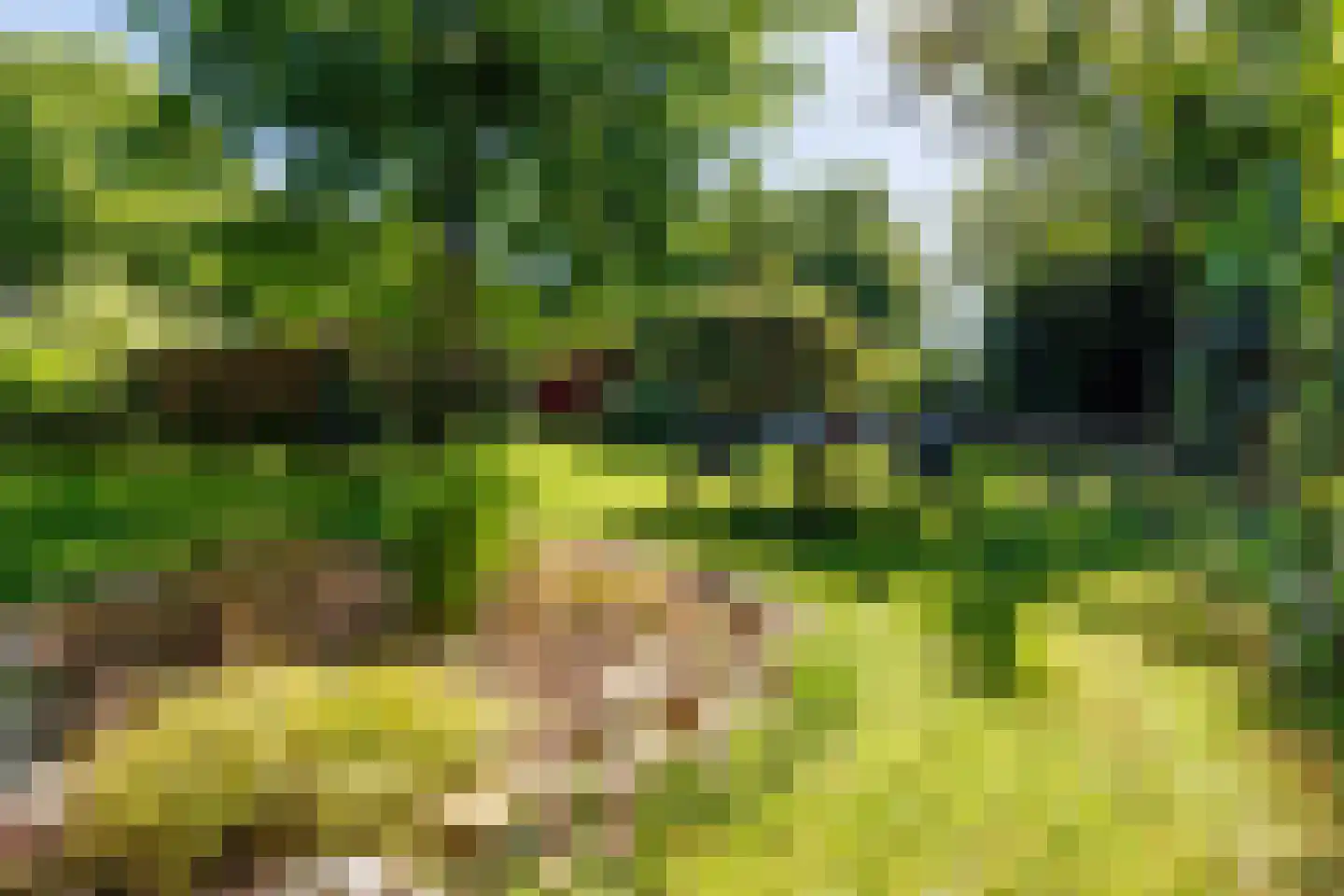 Elsteren 11 Well L thumbnail 132