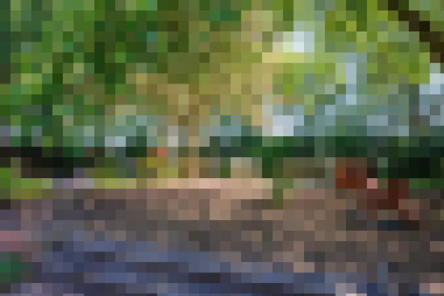 Elsteren 11 Well L thumbnail 135