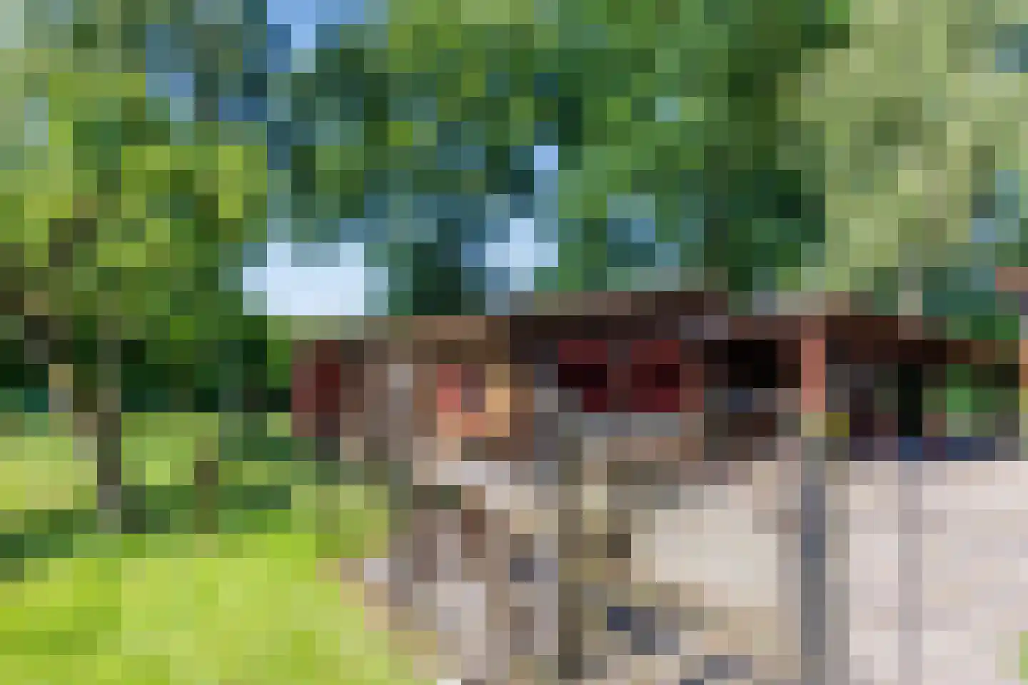 Elsteren 11 Well L thumbnail 136