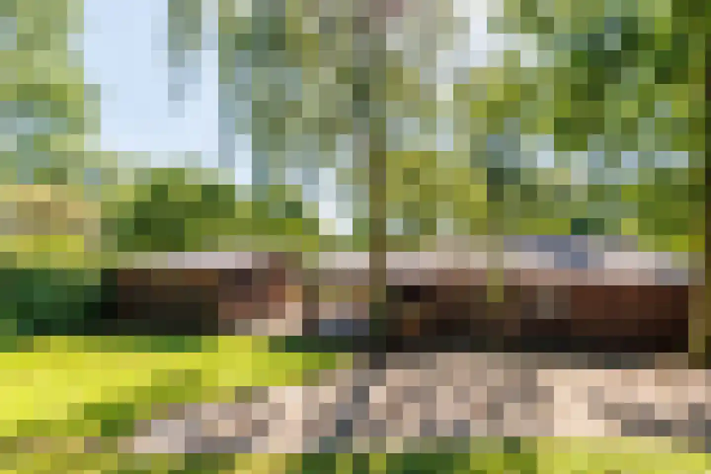 Elsteren 11 Well L thumbnail 138