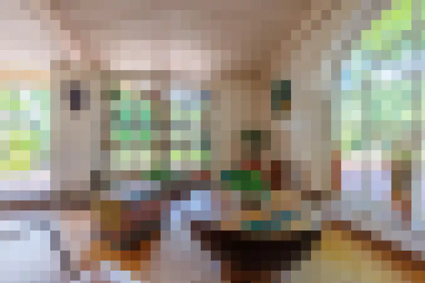 Elsteren 11 Well L thumbnail 14