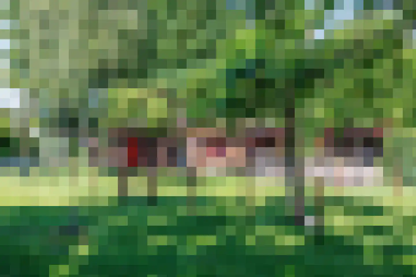 Elsteren 11 Well L thumbnail 141