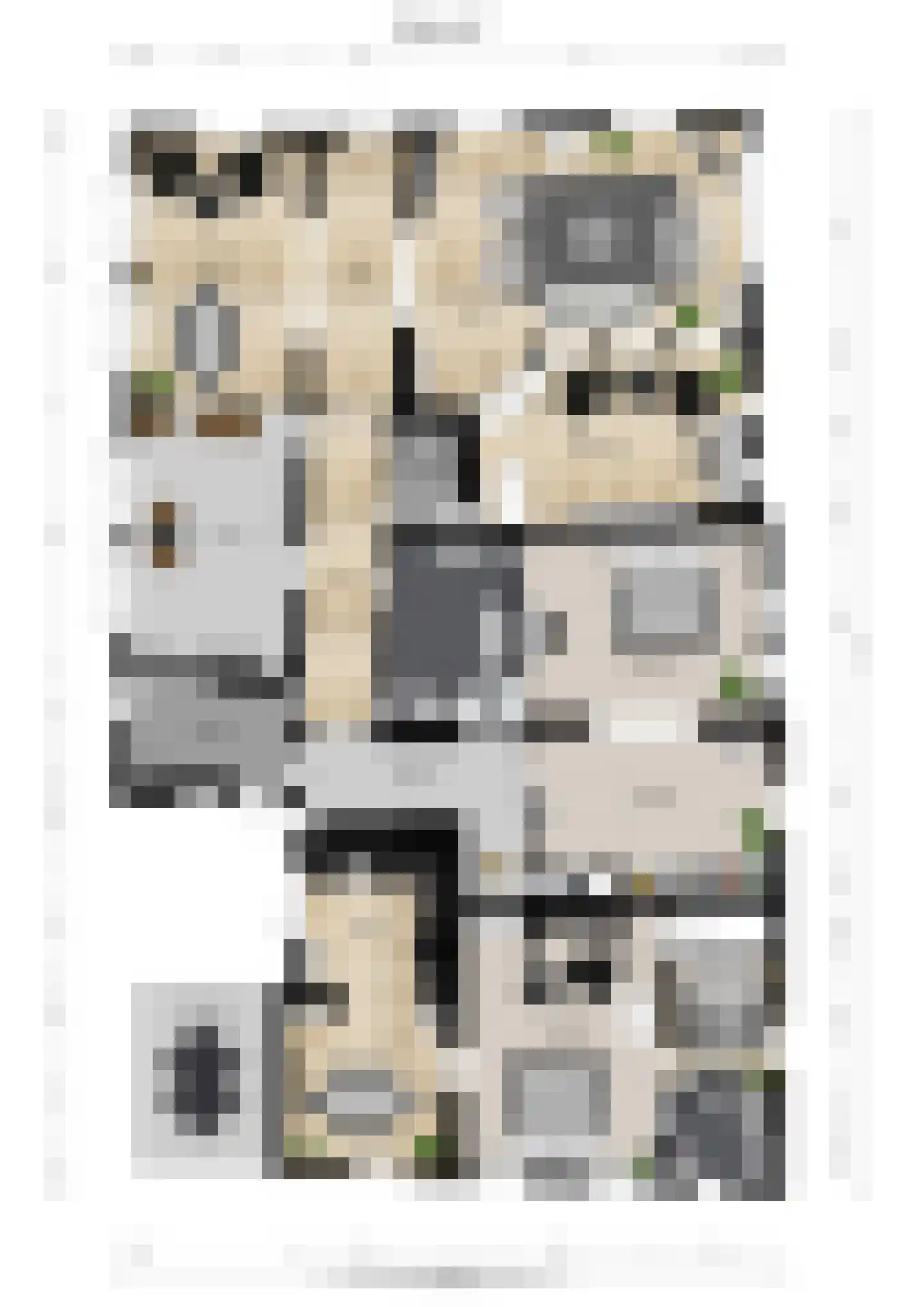 Elsteren 11 Well L thumbnail 144