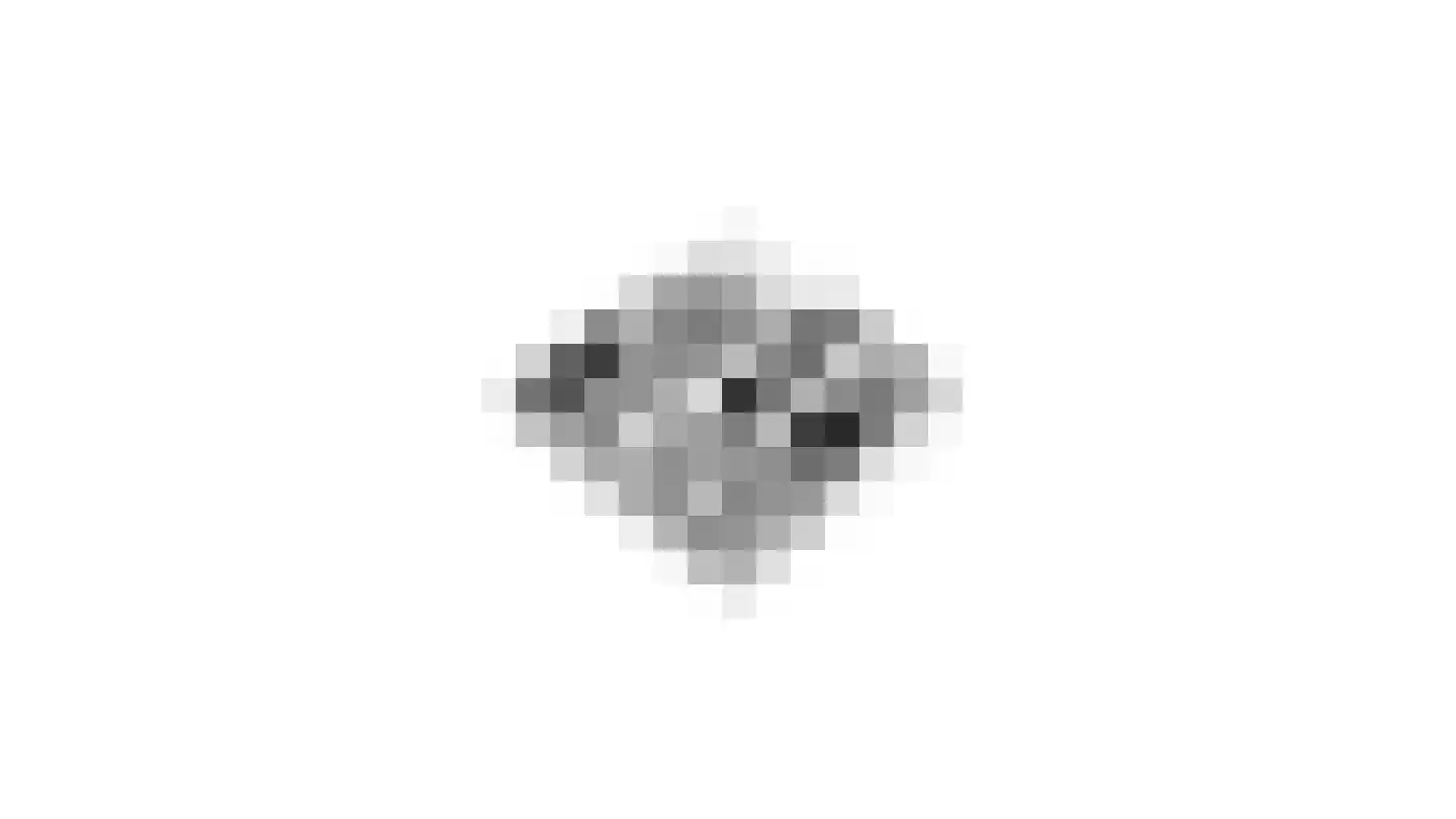 Elsteren 11 Well L thumbnail 149