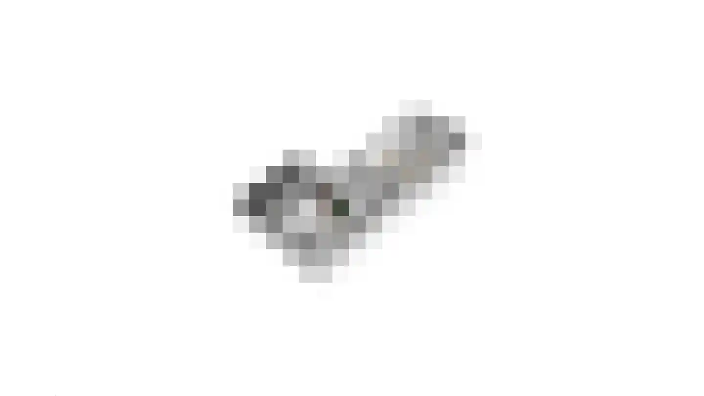 Elsteren 11 Well L thumbnail 151