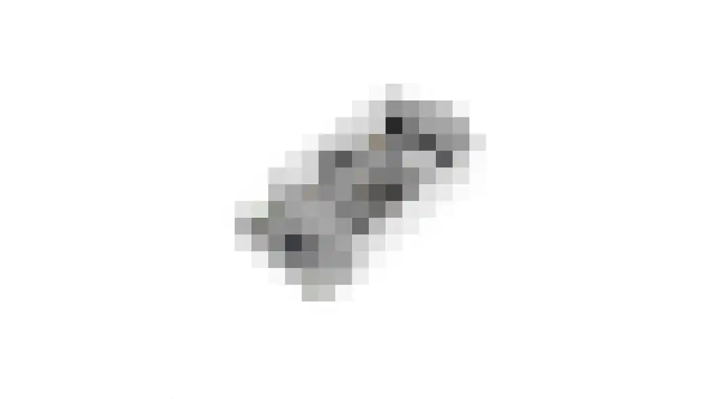 Elsteren 11 Well L thumbnail 155