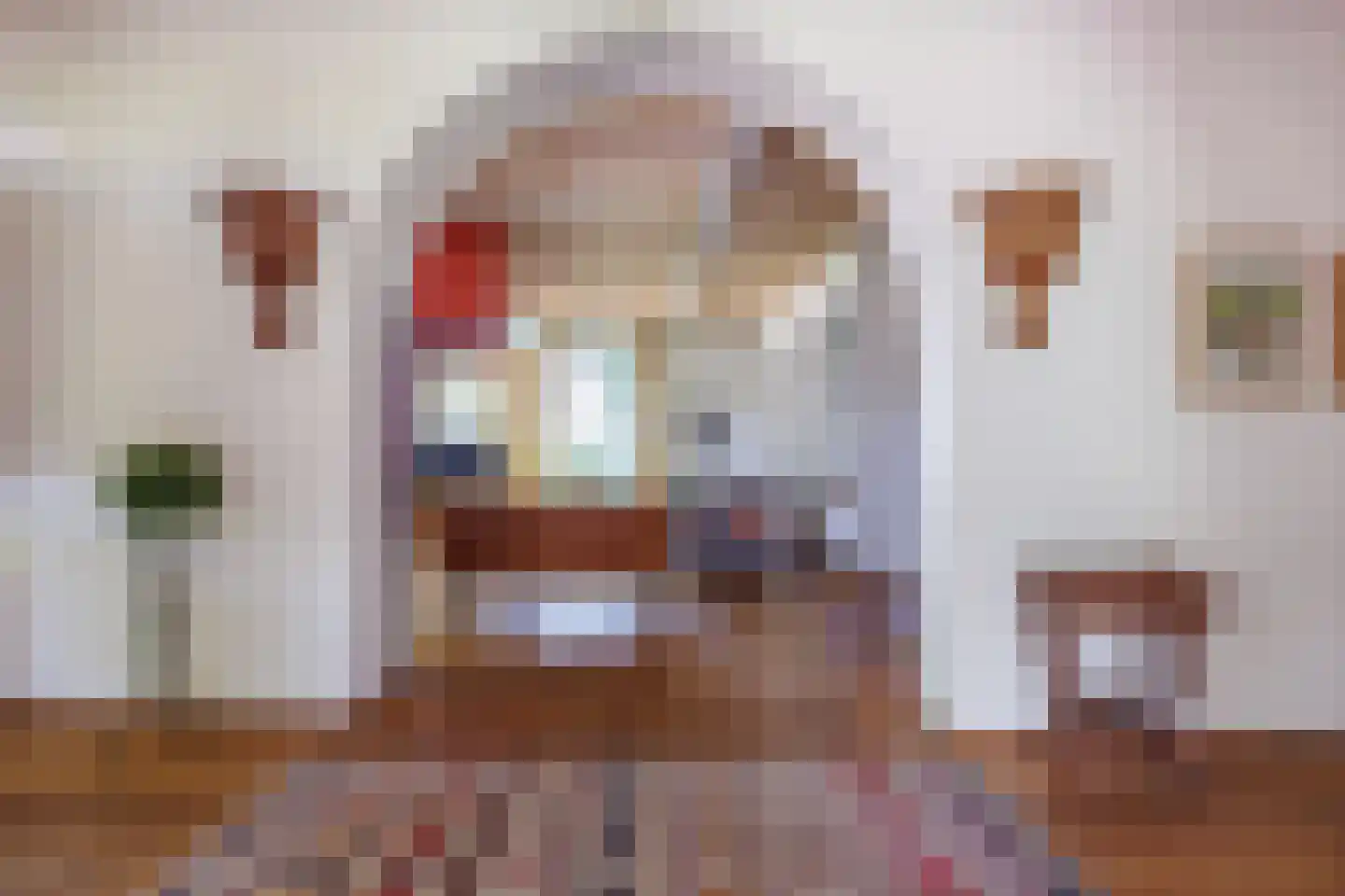 Elsteren 11 Well L thumbnail 18