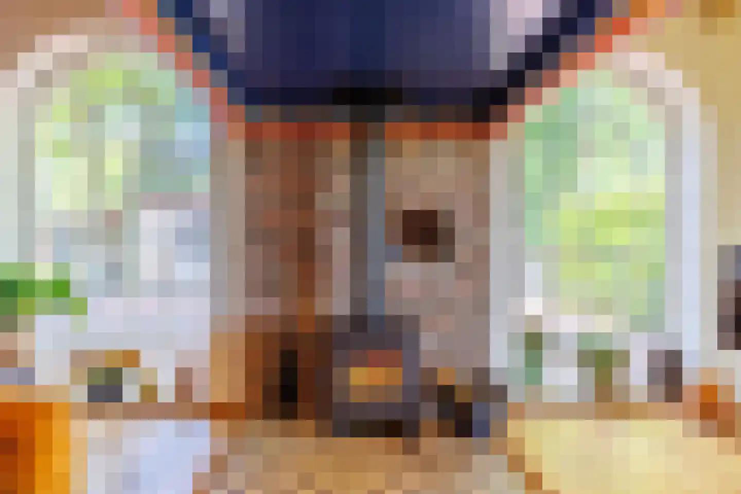 Elsteren 11 Well L thumbnail 21