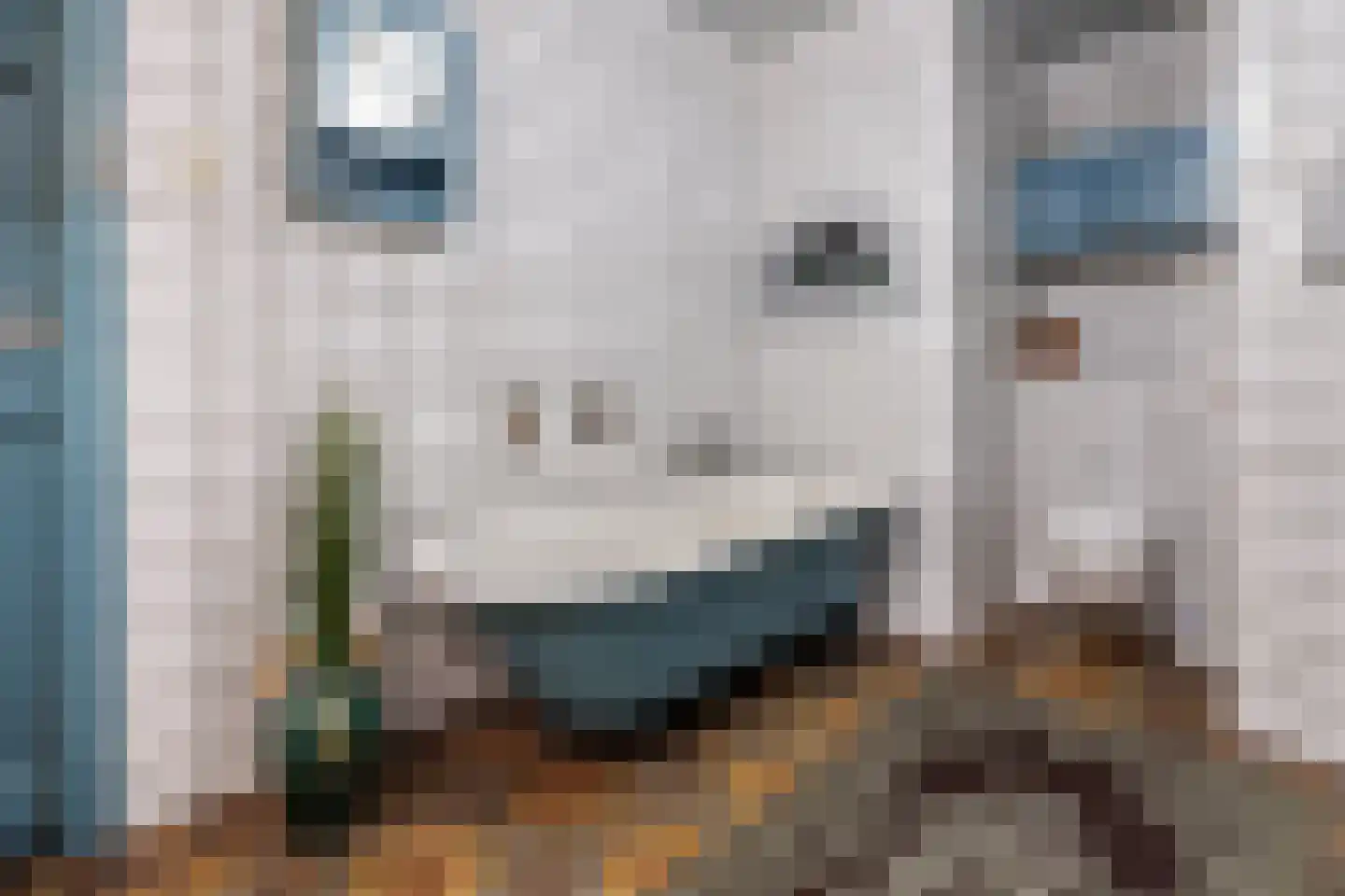Elsteren 11 Well L thumbnail 33