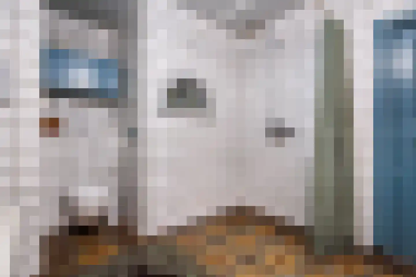 Elsteren 11 Well L thumbnail 34