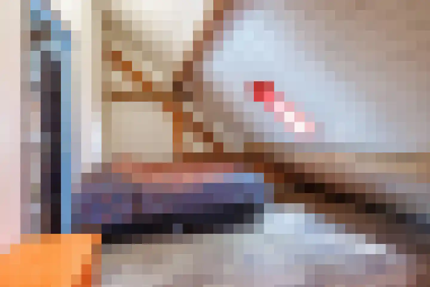 Elsteren 11 Well L thumbnail 54