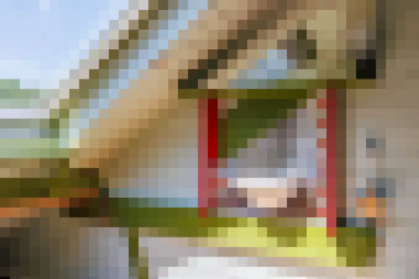 Elsteren 11 Well L thumbnail 64
