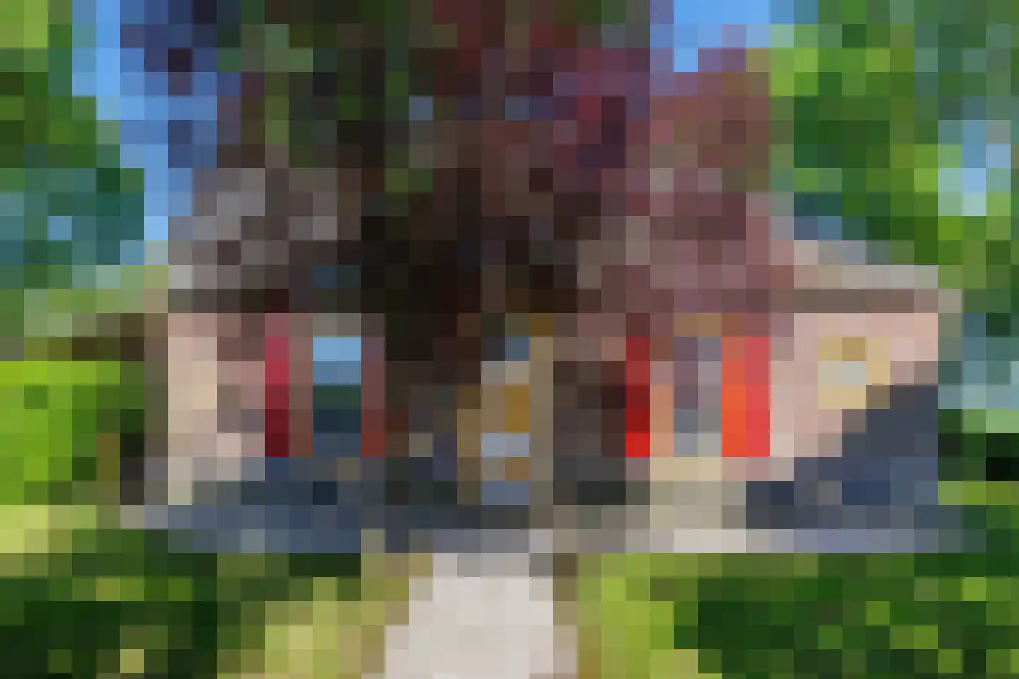 Elsteren 11 Well L thumbnail 65