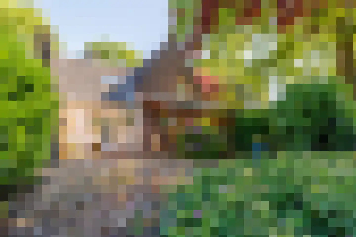 Elsteren 11 Well L thumbnail 66
