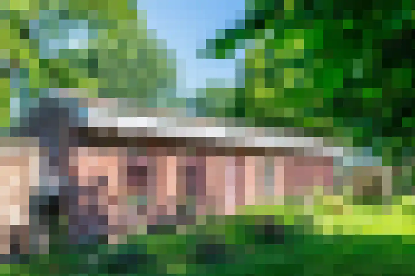Elsteren 11 Well L thumbnail 83