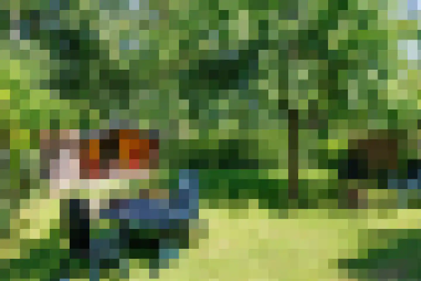 Elsteren 11 Well L thumbnail 84