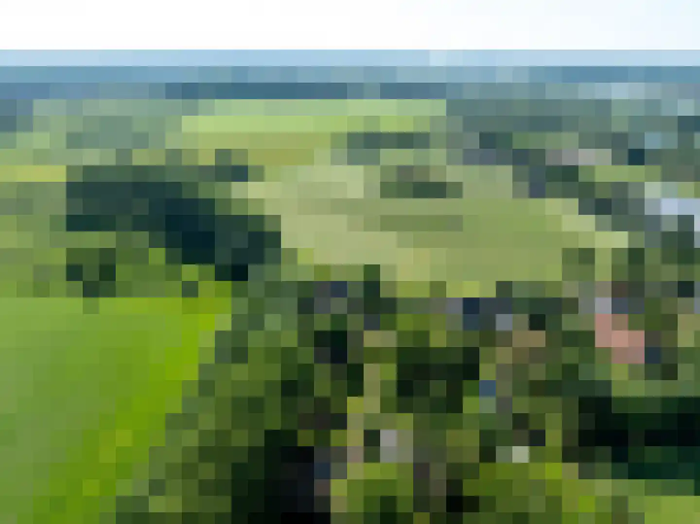 Elsteren 11 Well L thumbnail 93