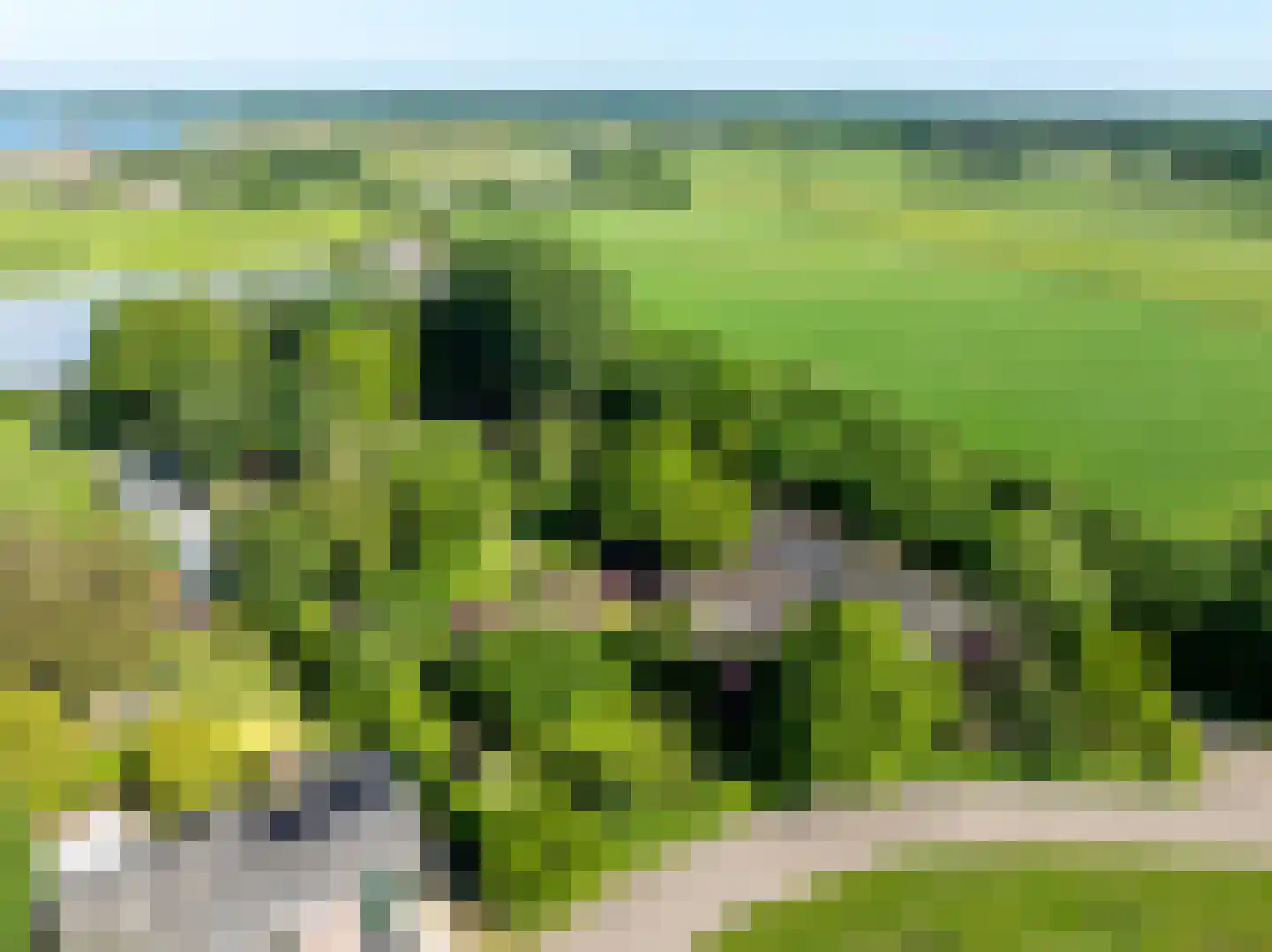 Elsteren 11 Well L thumbnail 96