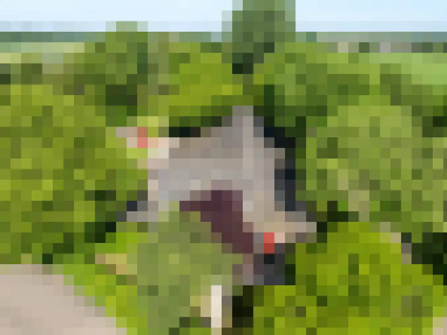 Elsteren 11 Well L thumbnail 97